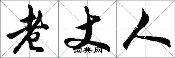 胡问遂老丈人行书怎么写