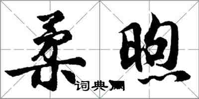 胡问遂柔煦行书怎么写