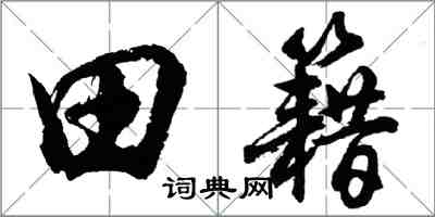 胡问遂田籍行书怎么写