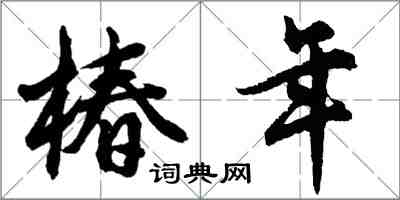 胡问遂椿年行书怎么写