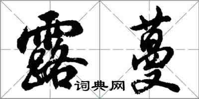 胡问遂露蔓行书怎么写