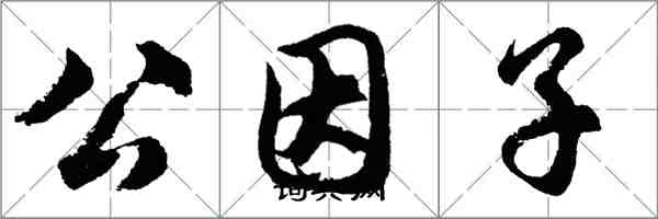 胡问遂公因子行书怎么写