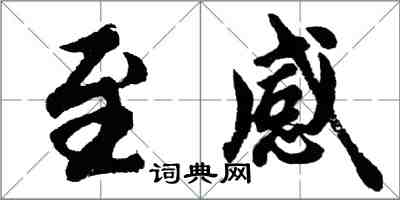 胡问遂至感行书怎么写