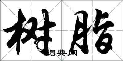 胡问遂树脂行书怎么写