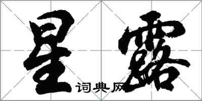 胡问遂星露行书怎么写