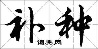 胡问遂补种行书怎么写