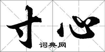 胡问遂寸心行书怎么写