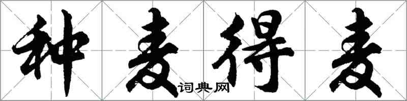 胡问遂种麦得麦行书怎么写