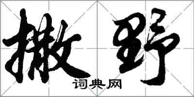 胡问遂撒野行书怎么写