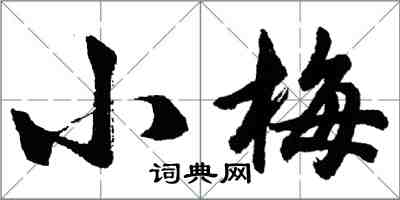 胡问遂小梅行书怎么写