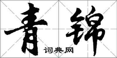 胡问遂青锦行书怎么写