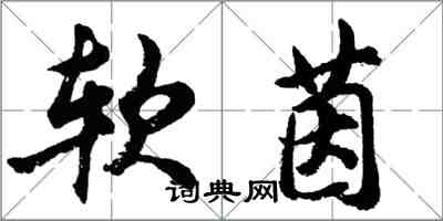 胡问遂软茵行书怎么写