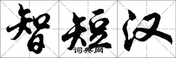 胡问遂智短汉行书怎么写