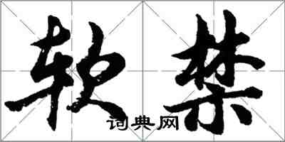 胡问遂软禁行书怎么写