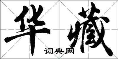 胡问遂华藏行书怎么写