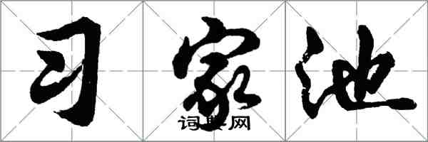 胡问遂习家池行书怎么写