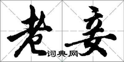 胡问遂老妾行书怎么写