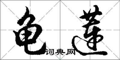 胡问遂龟莲行书怎么写