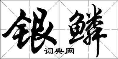 胡问遂银鳞行书怎么写