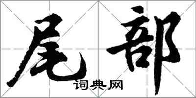 胡问遂尾部行书怎么写