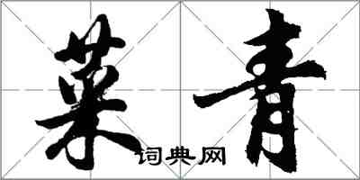 胡问遂菜青行书怎么写