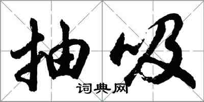 胡问遂抽吸行书怎么写