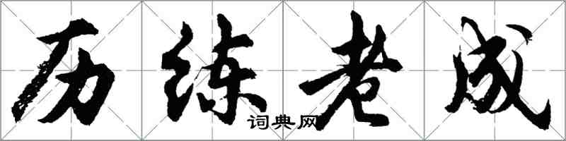 胡问遂历练老成行书怎么写