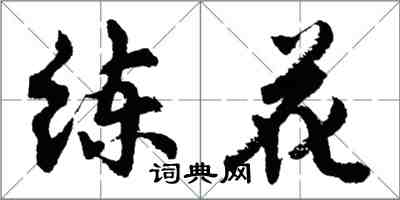 胡问遂练花行书怎么写