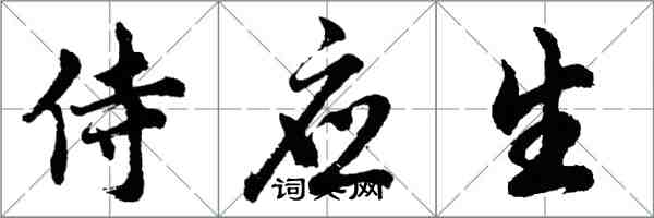 胡问遂侍应生行书怎么写