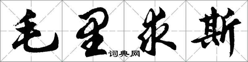 胡问遂毛里求斯行书怎么写