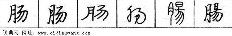 肠钢笔字典