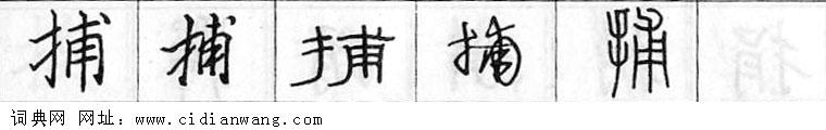 捕钢笔字典