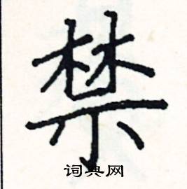 阎锐敏写的硬笔楷书禁