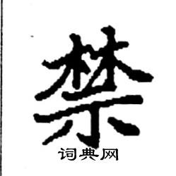 袁强写的硬笔楷书禁