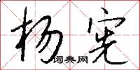 杨宪怎么写好看