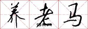 养老马怎么写好看
