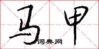 馬甲怎么寫好看