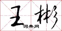 王彬怎么写好看