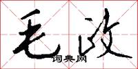 毛政怎么写好看