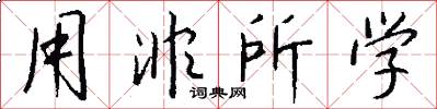 用非所学怎么写好看