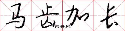 马齿加长怎么写好看