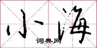小海怎么写好看