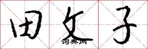田文子怎么写好看