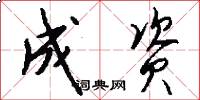 成资怎么写好看