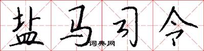盐马司令怎么写好看