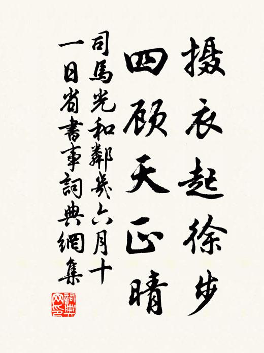 司馬光攝衣起徐步，四顧天正晴書(shū)法作品欣賞