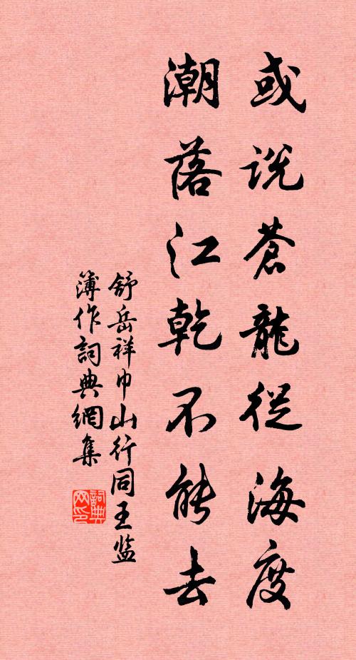 舒岳祥或說蒼龍從海度，潮落江乾不能去書法作品欣賞