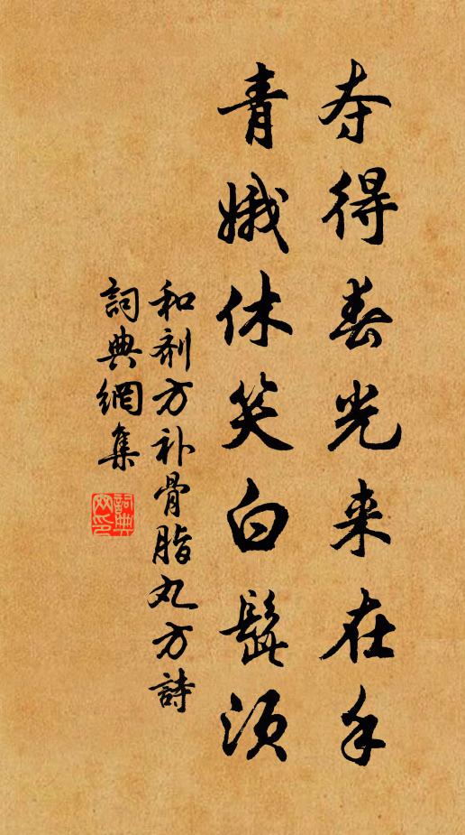 佚名奪得春光來在手，青娥休笑白髭須書法作品欣賞