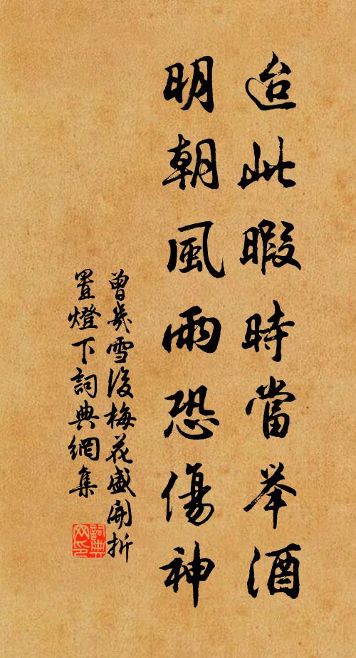 曾几迨此暇时当举酒,明朝风雨恐伤神书法作品欣赏