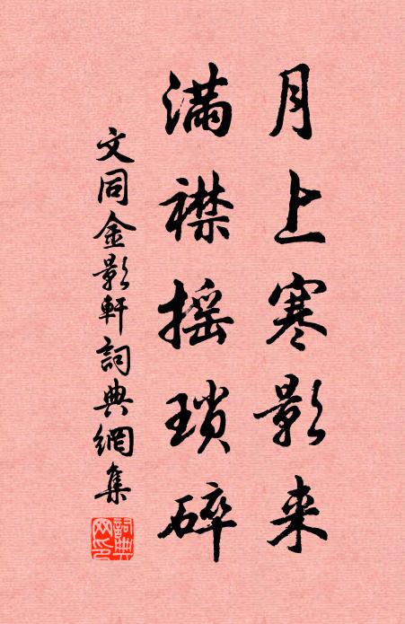 文同月上寒影来,满襟摇琐碎书法作品欣赏